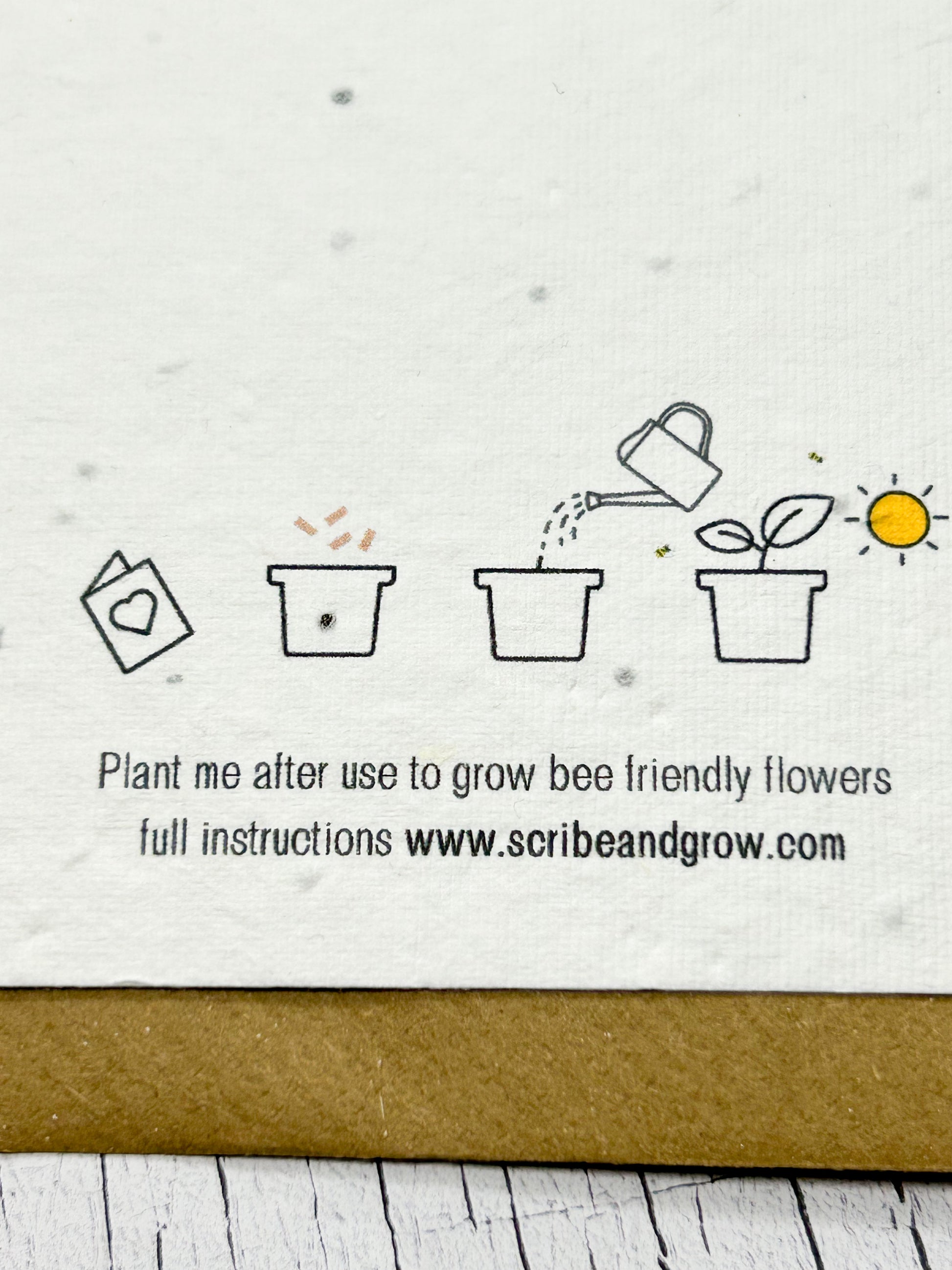 Bee Friendly flower card - Eve & Flamingo
