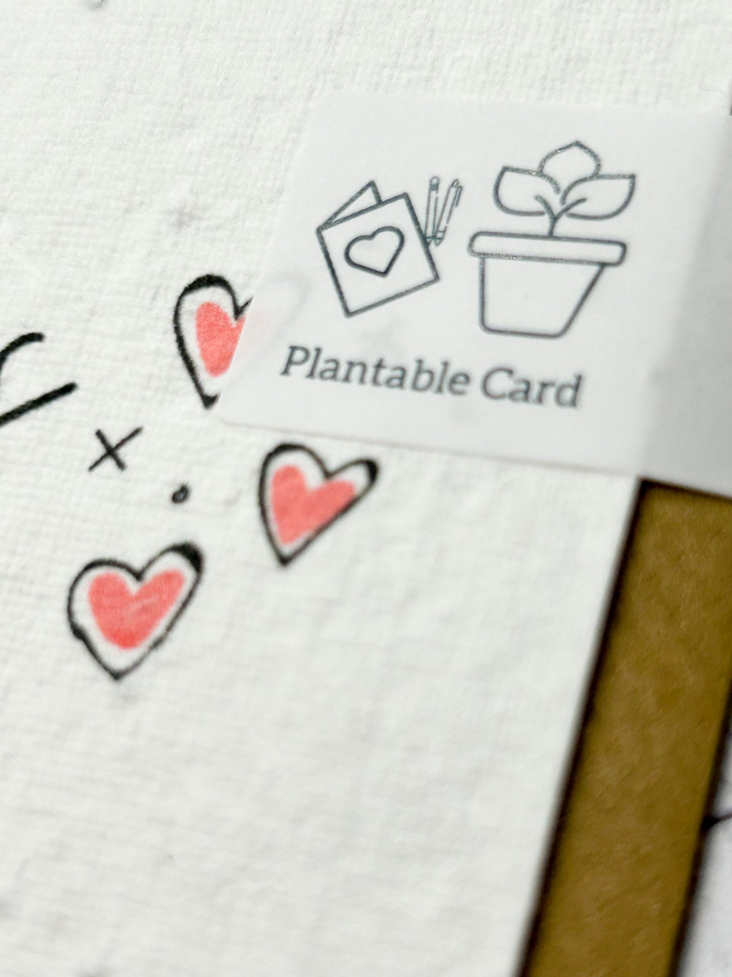 Plantable card - Eve & Flamingo